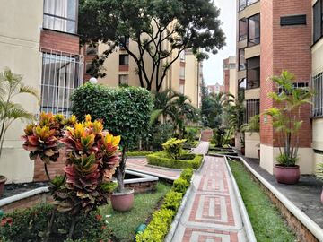 place photo 22