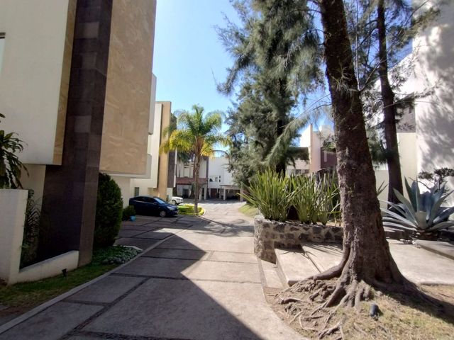 place photo 46