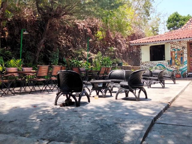 place photo 13