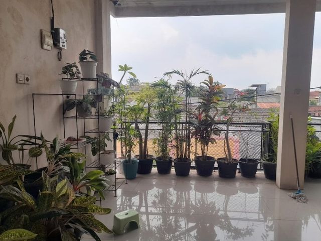 place photo 22