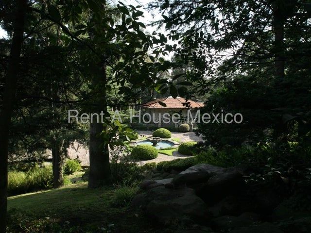 place photo 46
