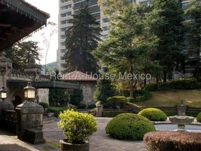 place photo 50