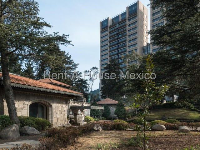 place photo 57