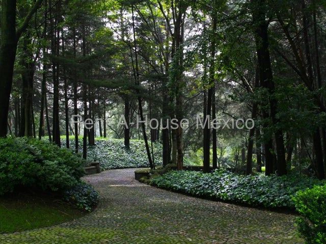 place photo 61