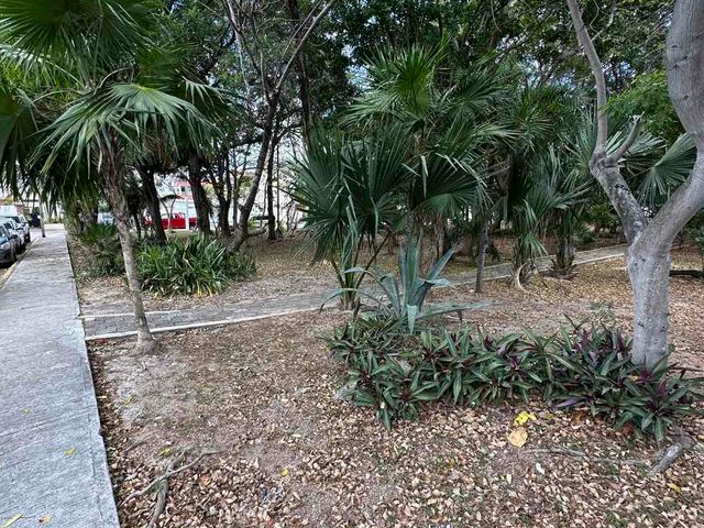place photo 26