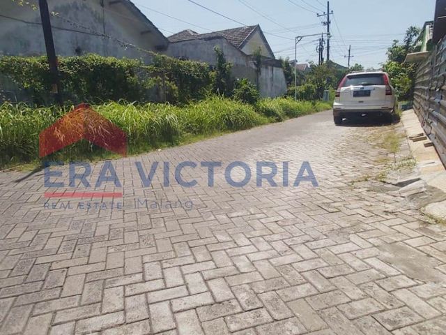place photo 29