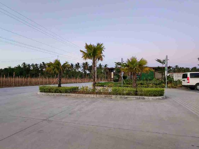 place photo 34