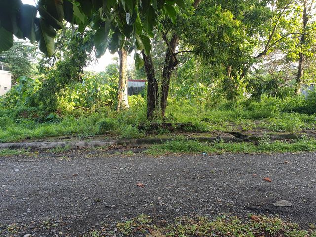 FOR SALE VACANT LOT IN CONGRESS VILLAGE, BRGY. 173, CALOOCAN CITY