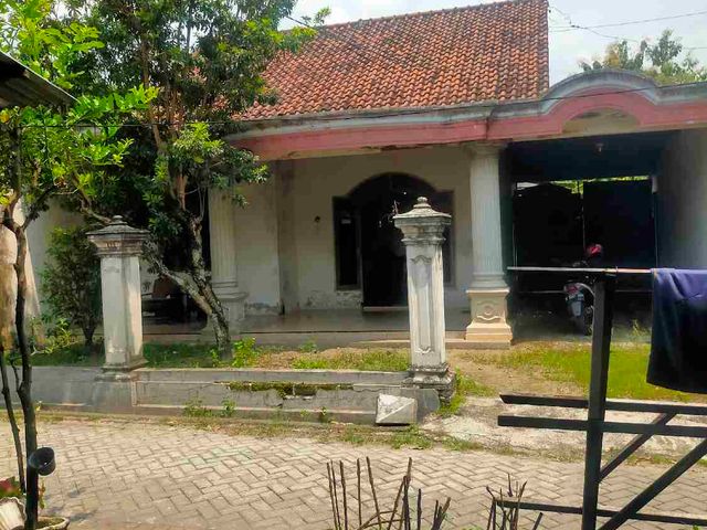 place photo 2