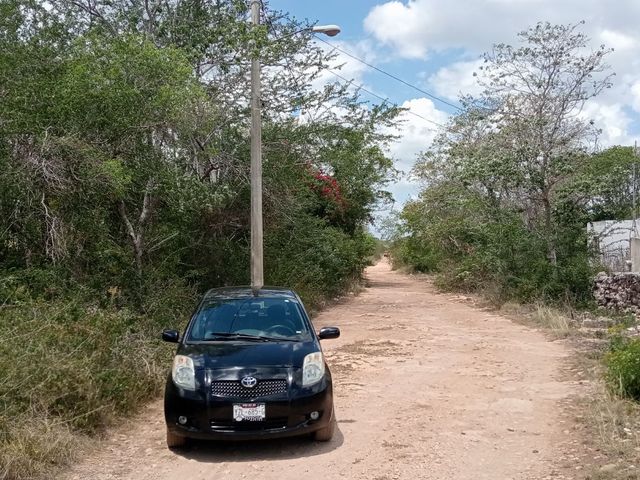 place photo 5