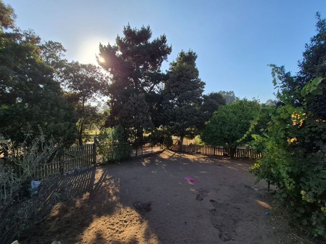 place photo 19