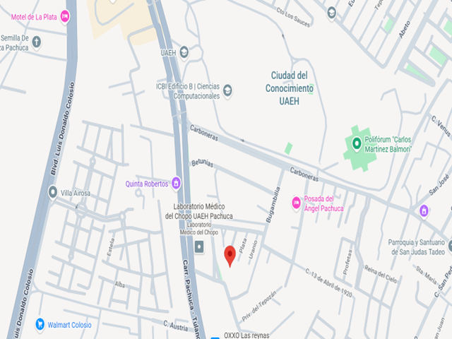 place photo 18