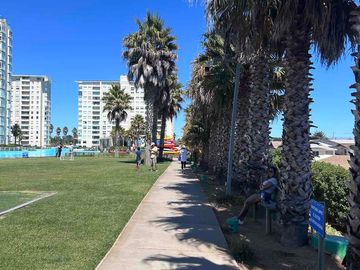 place photo 21