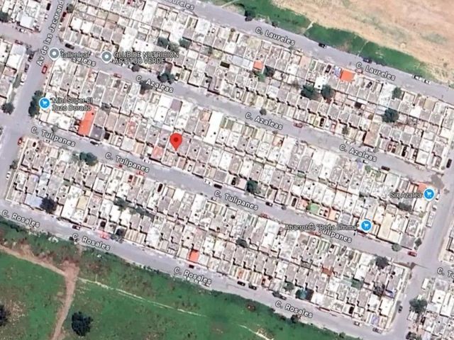 place photo 8