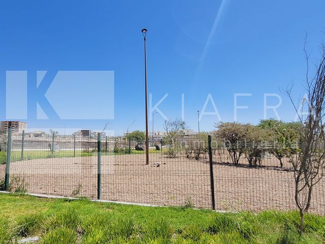 place photo 37