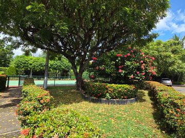 place photo 35