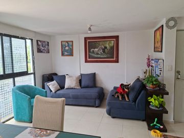 place photo 47