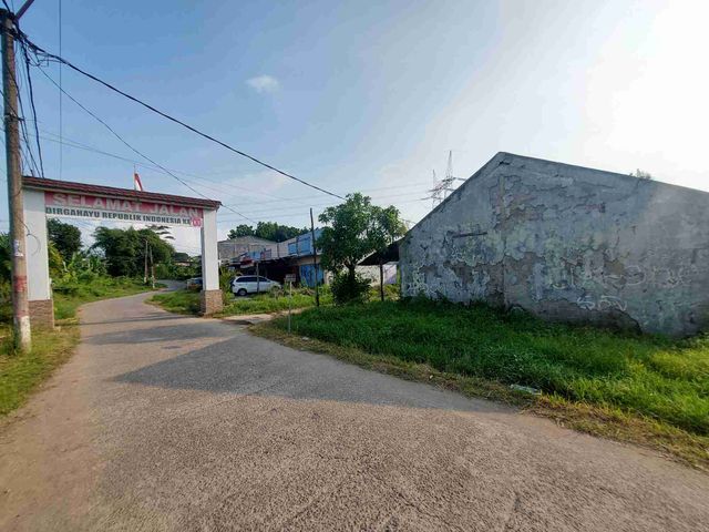 place photo 16