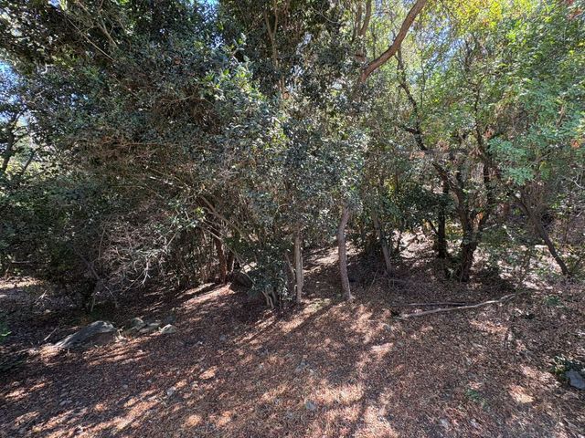 place photo 26