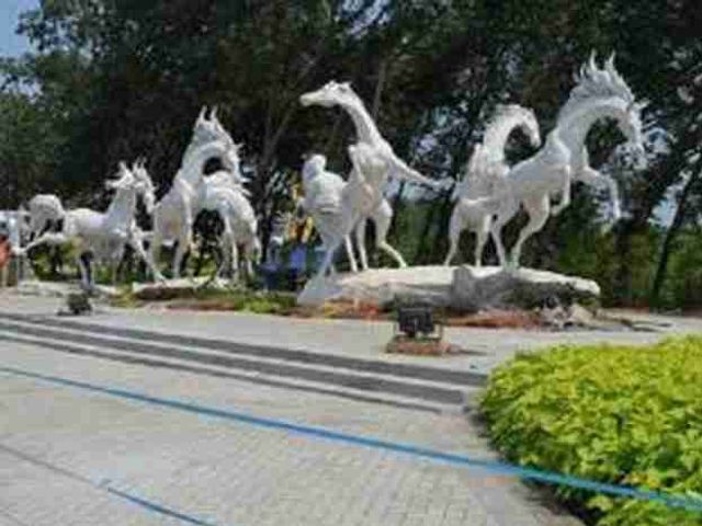 place photo 21