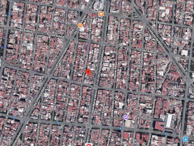 place photo 16