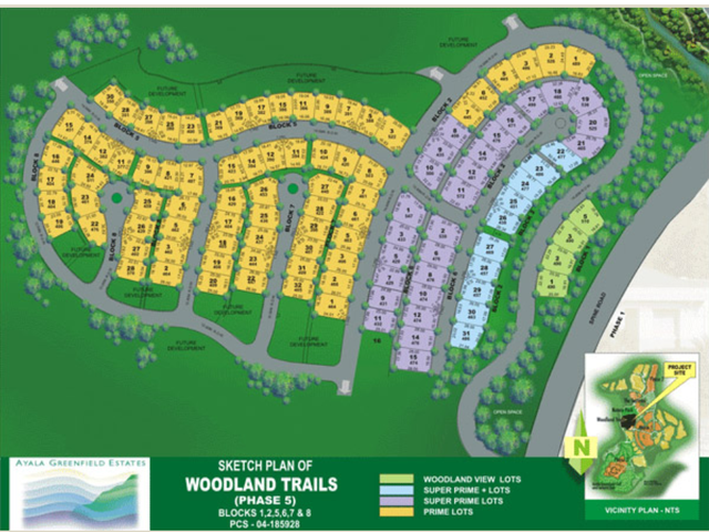398 sqm Prime lot at Ayala Greenfield Estates with golf shares