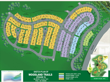 398 sqm Prime lot at Ayala Greenfield Estates with golf shares