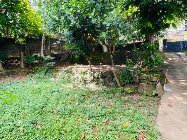 place photo 32