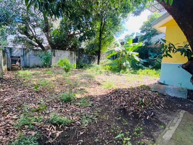 place photo 34