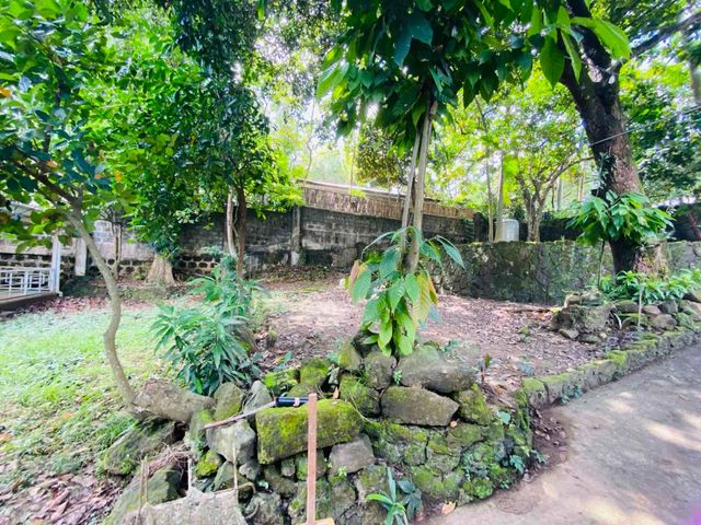 place photo 40
