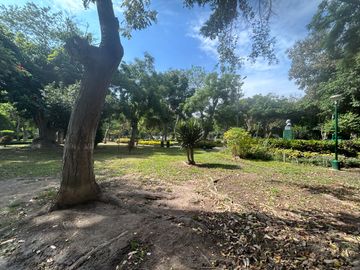 place photo 48