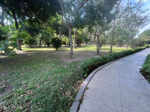 place photo 50