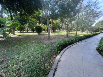 place photo 50