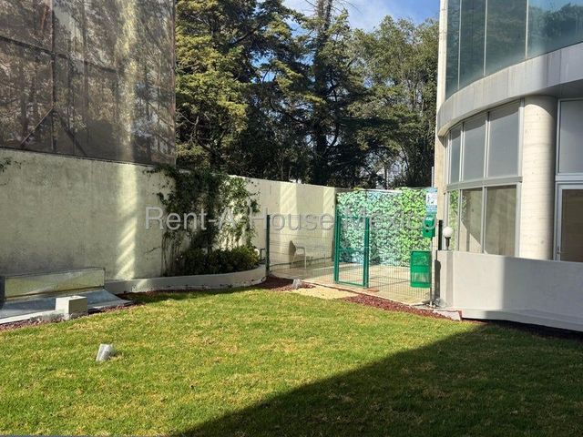 place photo 39