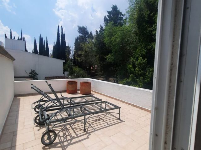 place photo 22