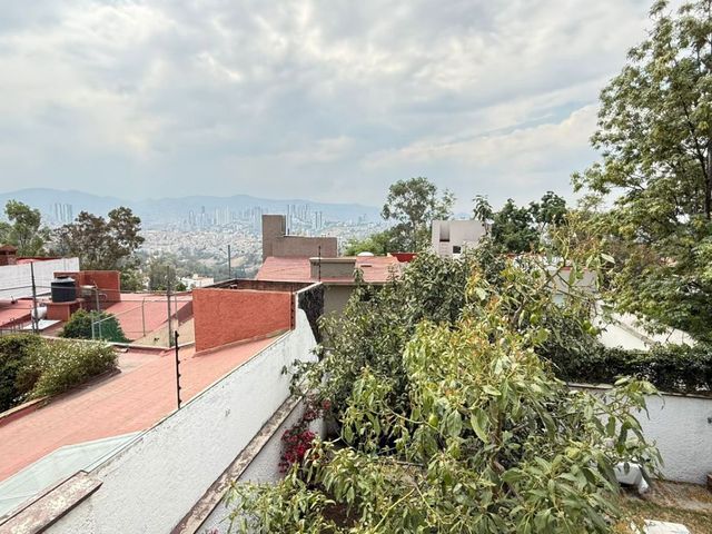 place photo 35