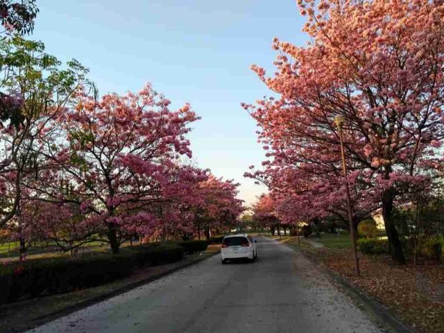 place photo 38
