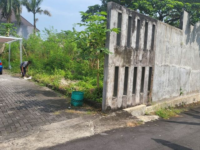 place photo 3