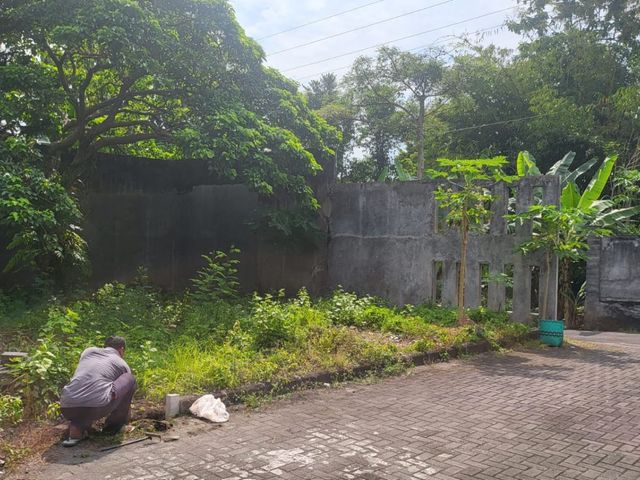 place photo 4