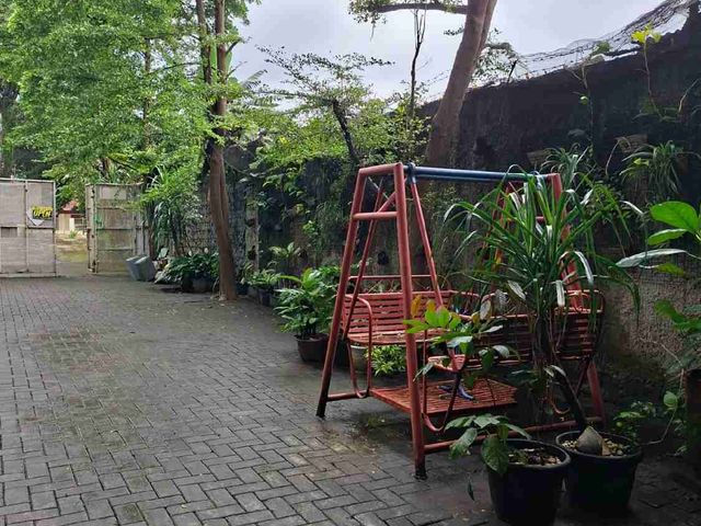 place photo 25