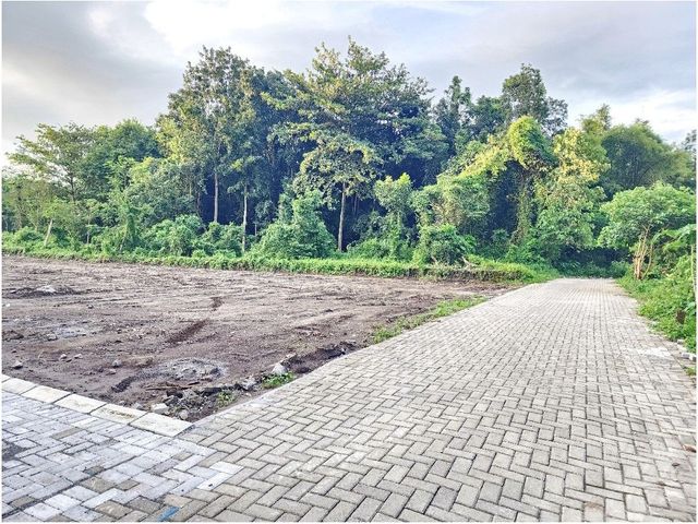 place photo 4