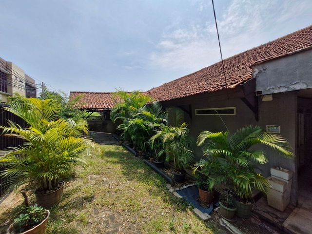 place photo 5