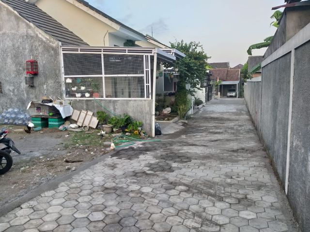 place photo 4