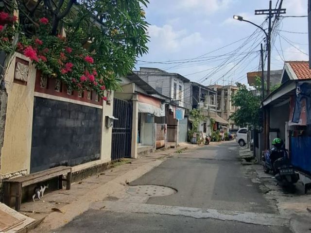place photo 26