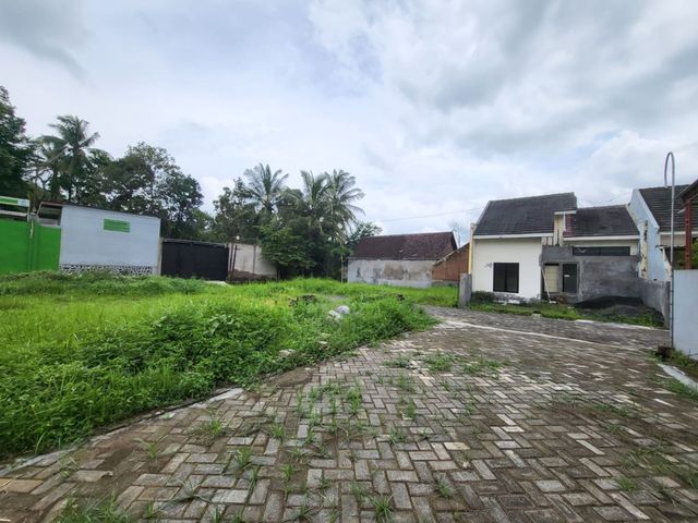place photo 2