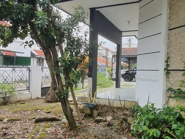 place photo 29