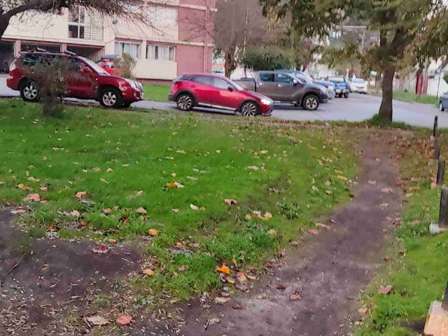 place photo 26