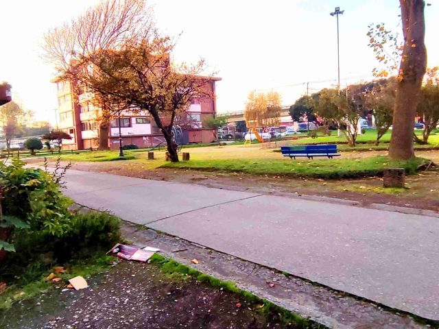 place photo 27