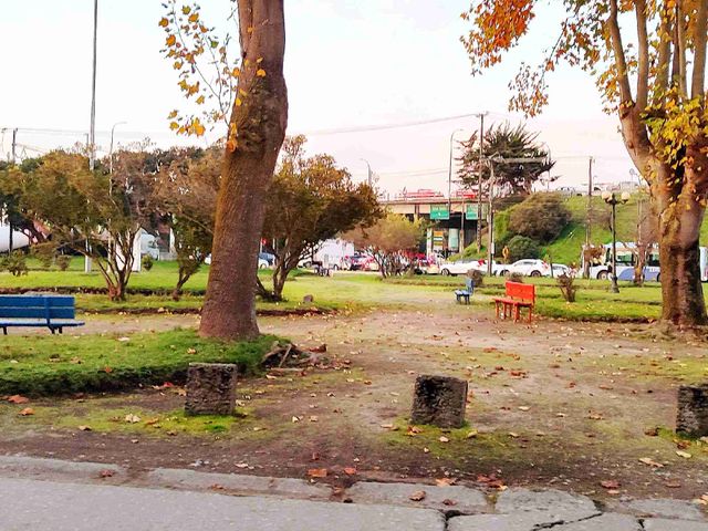 place photo 28
