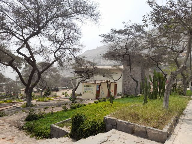 place photo 29